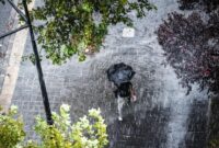 1765753488970-ilustrasi-hujan-1762235553812_169