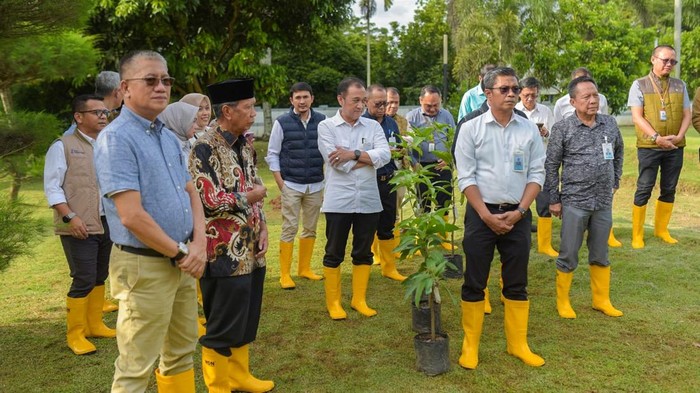 1765818379353-bank-sumsel-babel-menerapkan-program-1-tree-1-employee-1765796288112_169