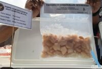 1765861566011-pemprov-sumsel-dan-balai-karantina-sumsel-bangun-sistem-digital-ketelusuran-komoditas-ekspor-1765813485910_169