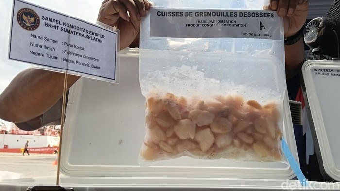 1765861566011-pemprov-sumsel-dan-balai-karantina-sumsel-bangun-sistem-digital-ketelusuran-komoditas-ekspor-1765813485910_169