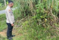 1765883146594-bayi-laki-laki-ditemukan-di-pinggir-jalan-kerinci-jambi-1765862595862_169