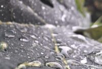 1766012690062-ilustrasi-hujan-1764385551807_169