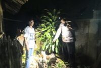 1767092790797-polisi-mendatangi-tkp-penemuan-bayi-perempuan-berusia-satu-hari-dalam-lubang-bekas-septic-tank-1767079353861_169