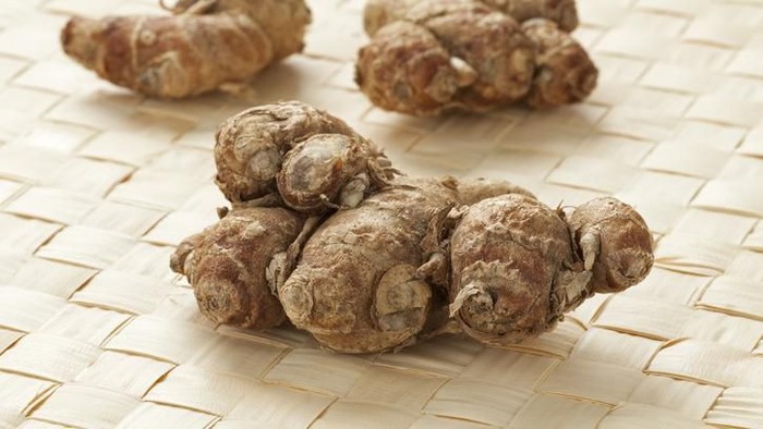 1767157635471-4614fd49-556e-43b1-8712-b83ccdcaa719_169