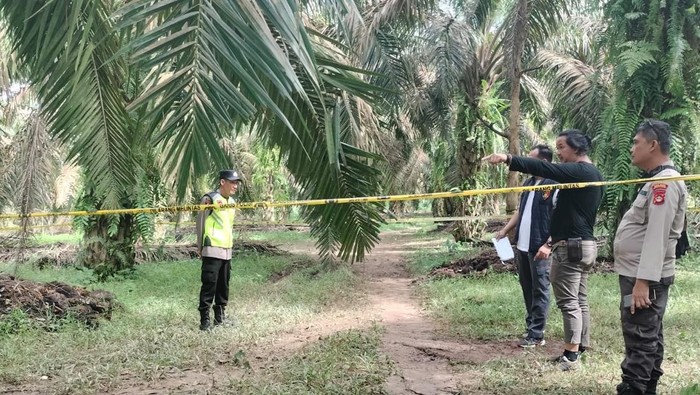 1767352053727-polisi-saat-melakukan-olah-tkp-lokasi-pembunuhan-di-musi-banyuasin-1767341634657_169