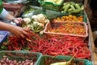 1767459918571-cabai-1_169