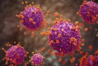 1767503199119-ilustrasi-virus-influenza-1764130986484_169