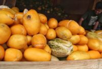 1767999880455-edfc01d9-b9ca-4176-9fc3-35b12061f1ca_169