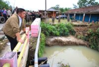 1768043144228-gubernur-sumsel-herman-deru-saat-meninjau-aliran-sungai-yang-mengakibatkan-banjir-di-oku-timur-1768013342247_169