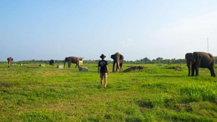 1768064764087-97514265-014e-4b5a-b29d-7bc14e9eb41f_169