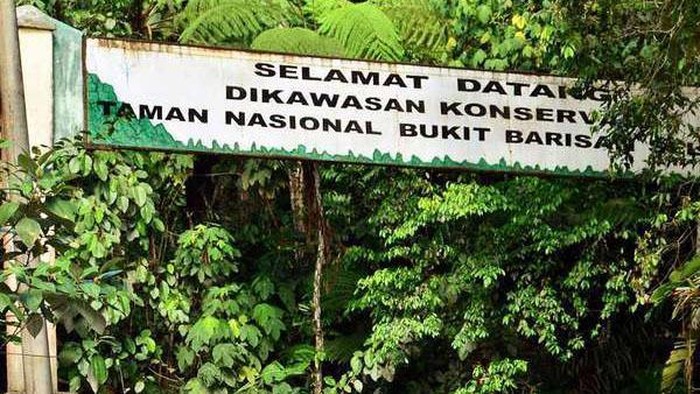 1768107952342-a697353f-1449-49f8-972e-5a014a98d83e_169