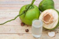 1768151159389-ilustrasi-air-kelapa-muda_169