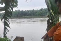 1768496764702-satgas-bpbd-muba-memantau-kenaikan-tma-sungai-1768465734277_169