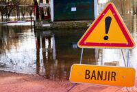 1769015185829-66e4dd89-c4f6-4a91-9f82-f5065a953e29_169