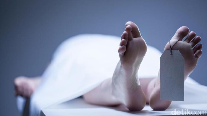 1769079979728-penemuan-mayat-wanita-duduk-di-melaya_169