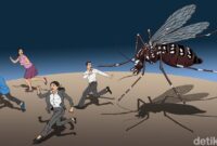 1769101563578-ilustrasi-detikx-wabah-demam-berdarah_169