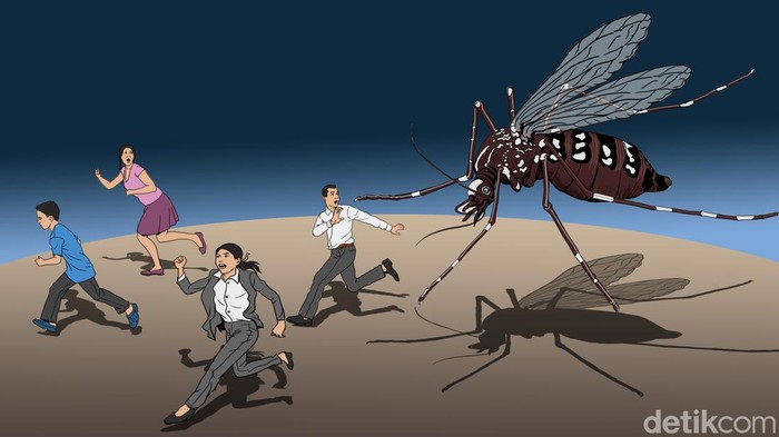 1769101563578-ilustrasi-detikx-wabah-demam-berdarah_169