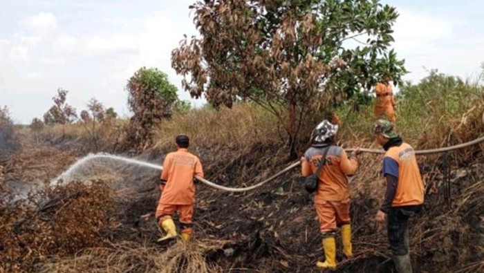 1769252754033-karhutla-di-sumsel_169