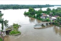 1769252756840-jembatan-di-lubuk-rukam-yang-ambruk-diduga-akibat-banyaknya-sedimen-yang-menabrak-tiang-1769225819532_169