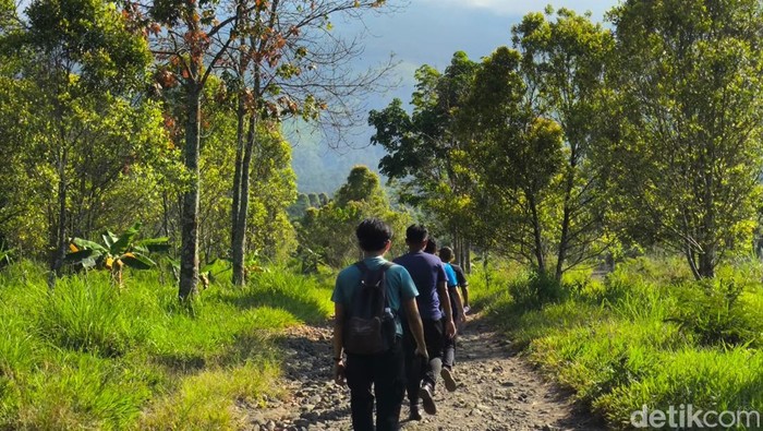 1769382389762-suasana-jalur-hiking-dan-pemandangan-bukit-lambosir-kuningan-1754627898531_169