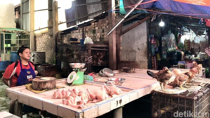 1769425566576-pedagang-ayam-potong-di-pasar-km-5-kota-palembang-1769401155757_169