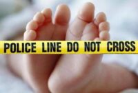 1769425571968-ilustrasi_169