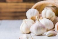 1769447174358-ilustrasi-bawang-putih_169